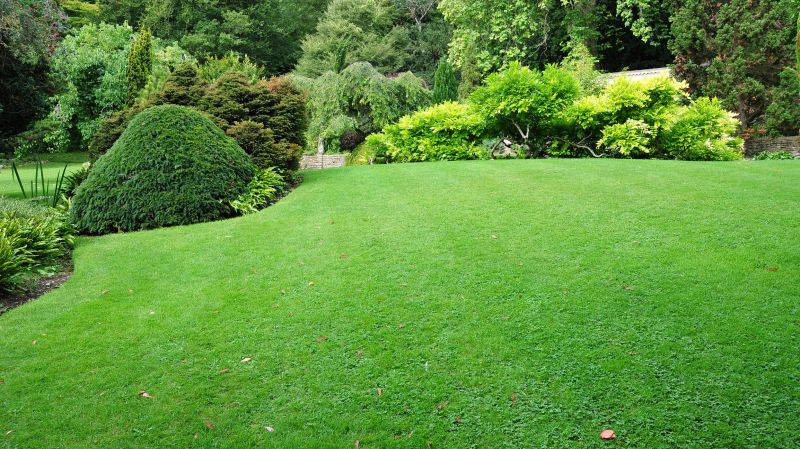 Commercial Landscape Design in Ventura County, CA
