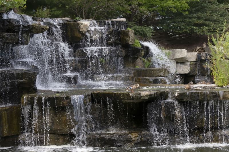 Garden Fountain Installation in Honolulu, HI