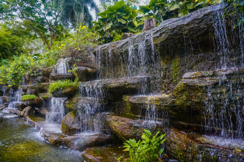 Local Service Experts