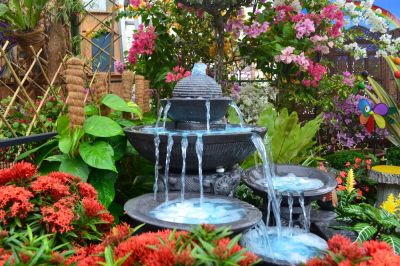 Have a Positive Impact on the Fountain